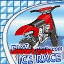 game pic for fly icerace